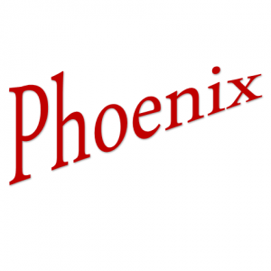 Phonenix Gas Room Heaters